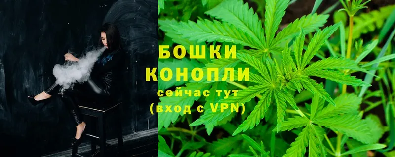 Бошки марихуана White Widow  гидра ссылка  Гусев 